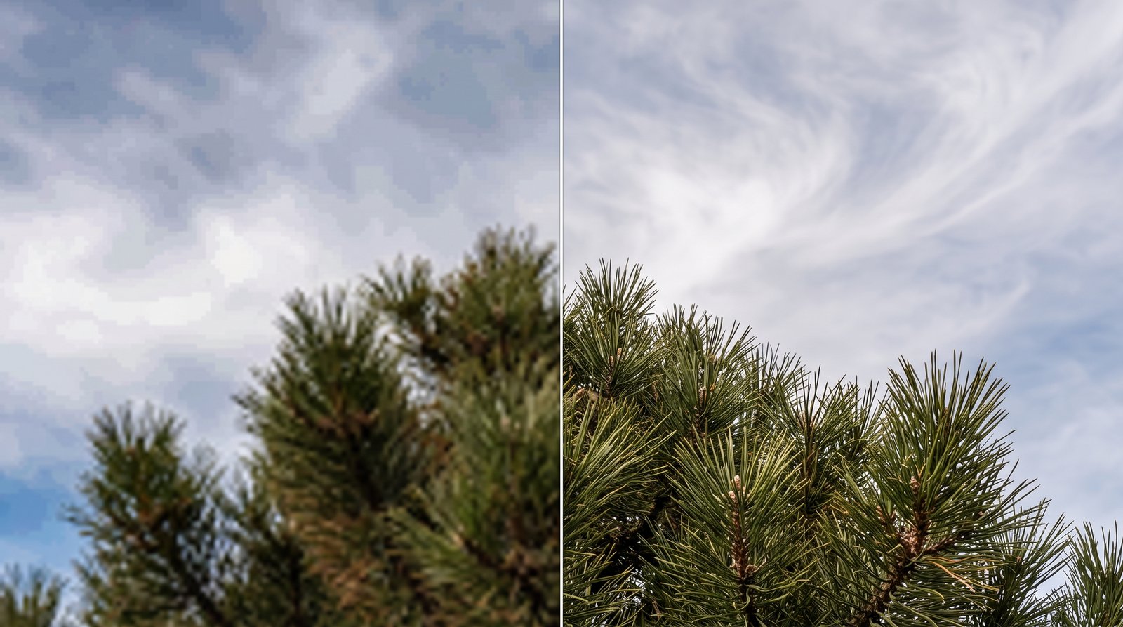 Zoomed detail of foliage and clouds after AI upscaling to 4K